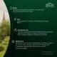 Чай Ahmad Green Jasmine Tea зеленый 100пак/уп 475-08