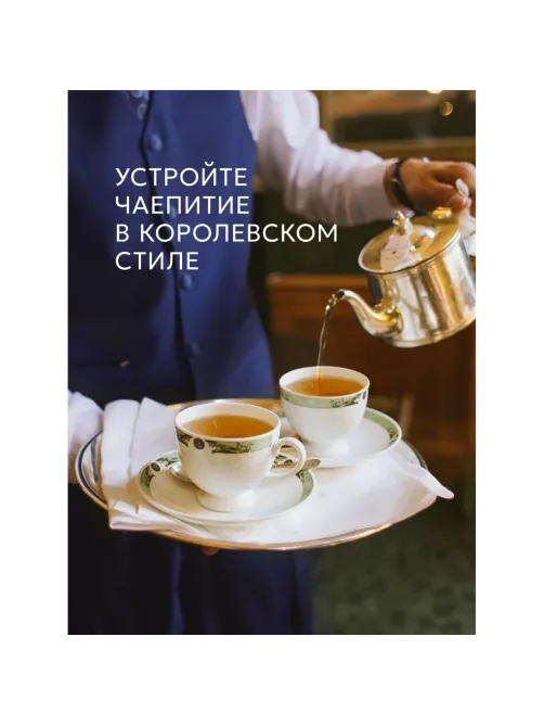 Чай Richard Royal Green зеленый, 100 пакетиков