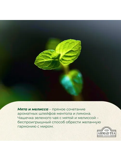 Чай Ahmad Tea Мята-Мелиса, зеленый, пакетики в конвертах, 100x1,8г/уп