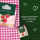 Чай Ahmad Tea Малиновое Лакомство, черный, пакетики в конвертах 100x1,5г/уп