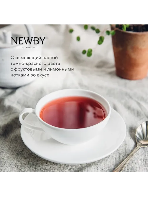 Чай Newby Шиповник и Гибискус травяной 25 пакетиков