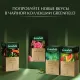 Чай Greenfield Currant and Mint черный фольгир. 25пак/уп 1249-10