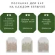 Чай Herbarus Ассорти, Пожелания, Grand Secret, 60 пак
