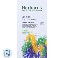 Чайный напиток напиток Herbarus, Заряд витаминов, 24пак