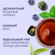 Чай Curtis Tender Moments черн со вкус черники, ежев. и мяты,1,5гх100сашет