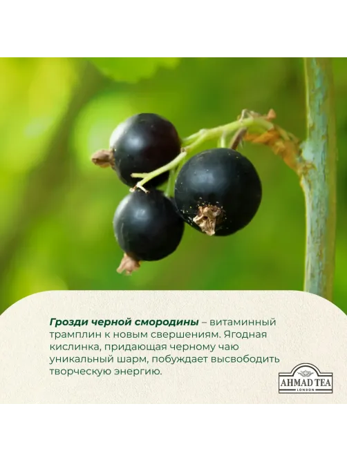 Чай Ahmad Tea черный смородиновый взрыв 25пакx1,5г/уп 2250