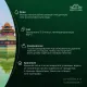 Чай Ahmad Green Tea зеленый 100пак/уп 478