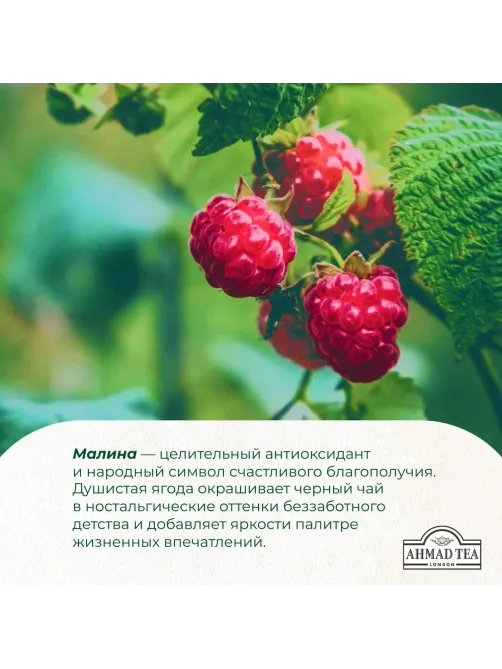 Чай Ahmad Tea Малиновое Лакомство, черный, пакетики в конвертах 100x1,5г/уп