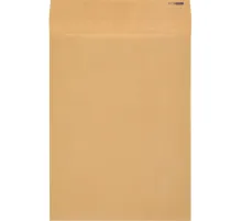 Пакет крафт E4 стрип Extrapack 300х400х40 120г 250шт/уп/6586