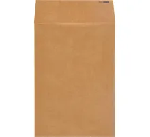 Пакет крафт B4 стрип Largepack250х353х40 120г 200шт/уп/6306