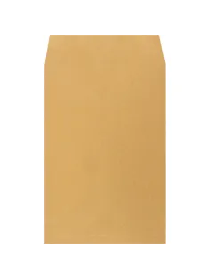 Пакет в упаковке крафт С4 стрип Extrapack 229х324 100г 250шт/уп/6541