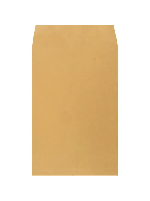 Пакет в упаковке крафт С4 стрип Extrapack 229х324 100г 250шт/уп/6541