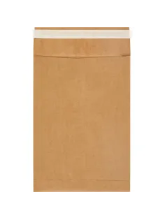 Пакет в упаковке Крафт С4стрип Largepack 229х324 мм100г200шт/уп/6286