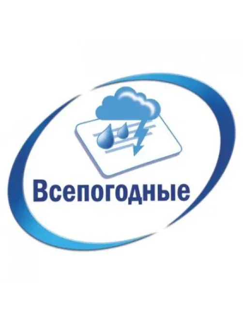 Этикетки самоклеящиеся L6012-20 Серебристые, 96x50.8мм,L,200шт/уп