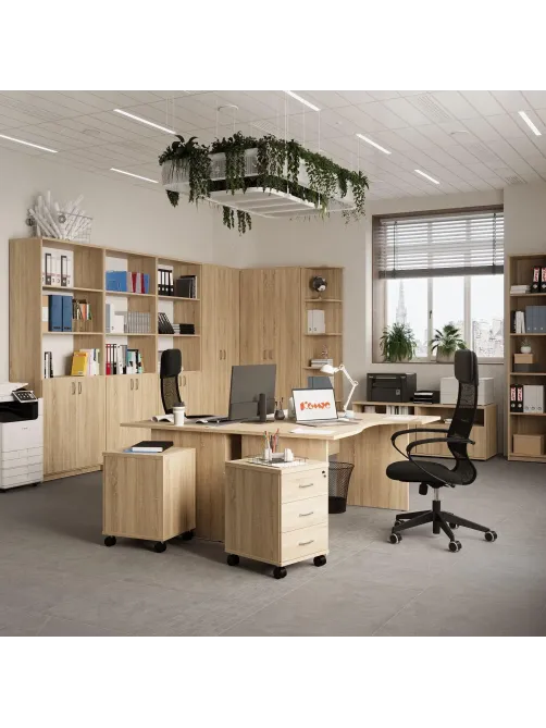 Корпус гардероба Easy One каркас 908843 дуб сонома (091) Г580