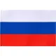 Флаг 90х135см Российской Федерации без флагштока fl12b