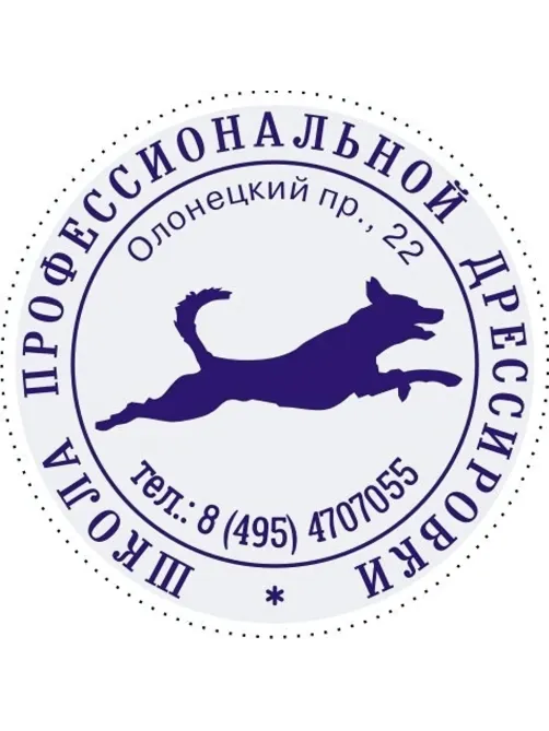 Оснастка для печати кругл. карман. Stamp Mouse R40 синяя Colop