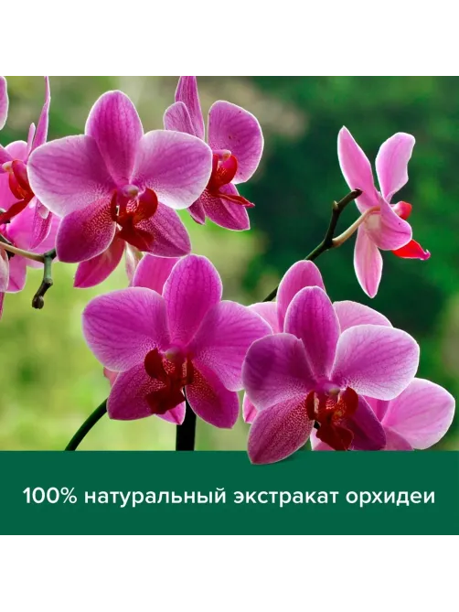 Крем-гель для душа Palmolive Черная Орхидея и Увлажняющее Молочко 750мл