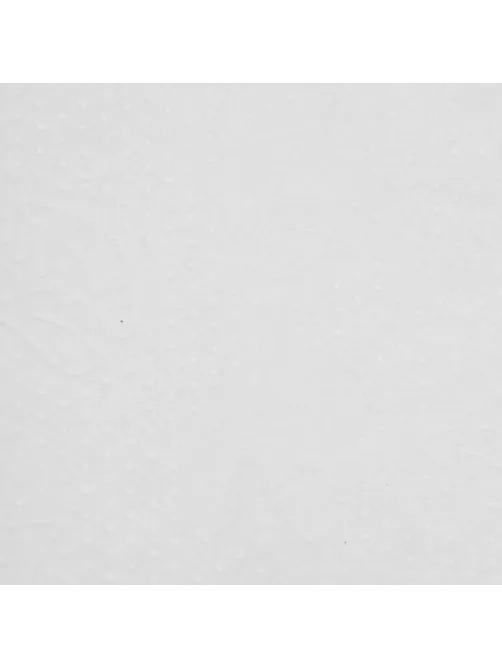 Бумага протирочная Protissue 1000л/рул 350м С241 2рул/уп