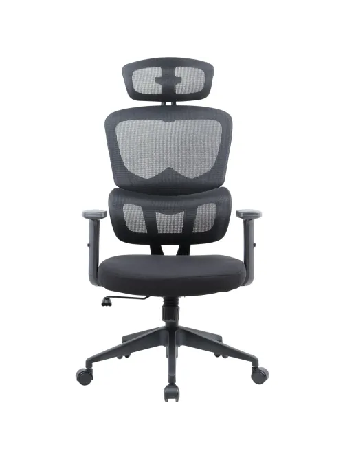 Кресло BN_SH_EChair-646 TC сетка/ткань черный