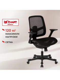 Кресло BN_Zm_EChair-600 MC сетка, черный
