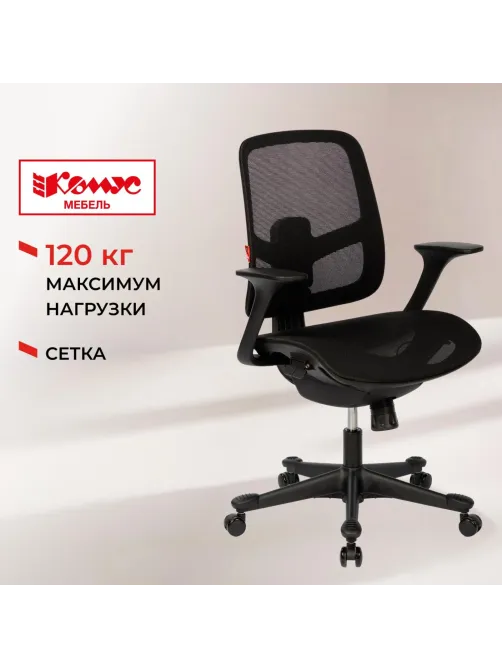 Кресло BN_Zm_EChair-600 MC сетка, черный