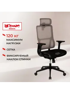 Кресло BN_Zm_EChair-601 MC сетка, серый/черный