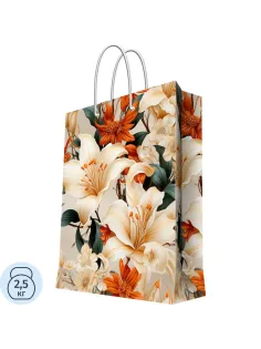 Пакет ,бумажный д/сувенирной продукции,ш26cм,140г/м2 26x32,4x12,7см 93914FE