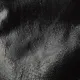 Перчатки защитные нейлон/нитрил Manipula МИКРОНИТ (TNI-14/MG121) р.9