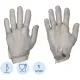 Перчатка кольчужная Certaflex Simplex (металлическ крючок) CS0005010XL р.ХL