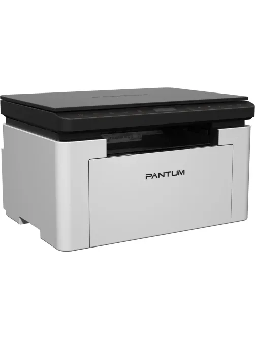 МФУ Pantum BM1800W