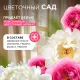 Кондиционер для белья Synergetic Аромамагия 5л
