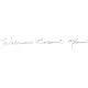 Ручка шариковая WATERMAN HEMISPHERE S0920370 сталь с позол лин сред чер син