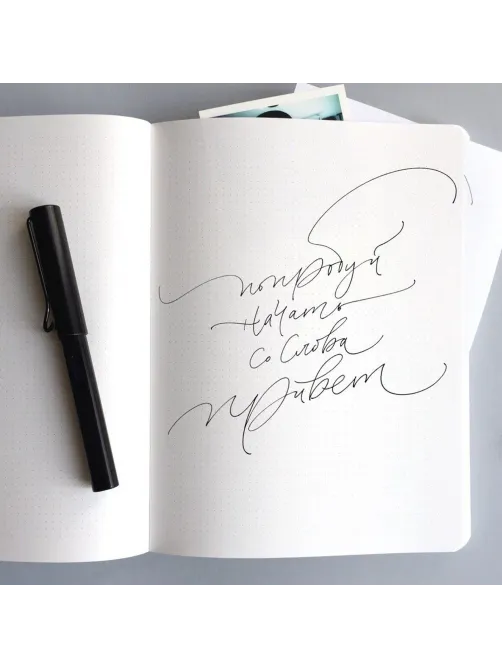 Ручка перьевая LAMY 071 al-star, Черный, F, 4000525