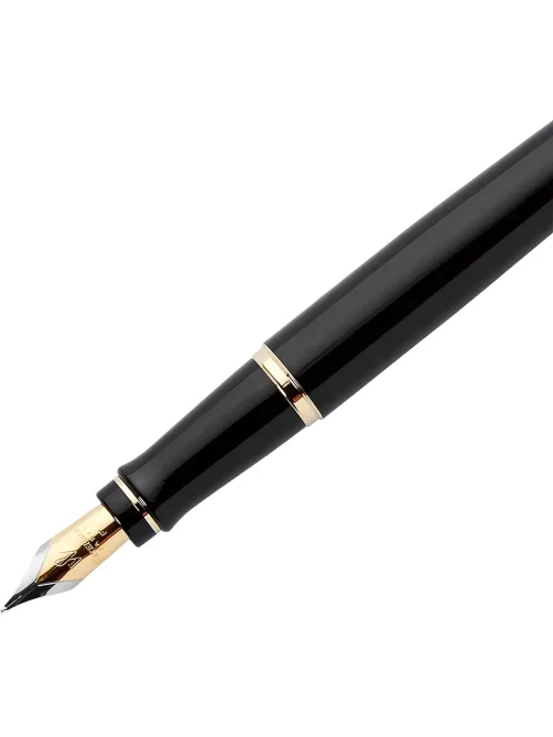 Ручка перьевая WATERMAN EXPERT S0951640 черн. корп, син чернила 0,5мм Франц