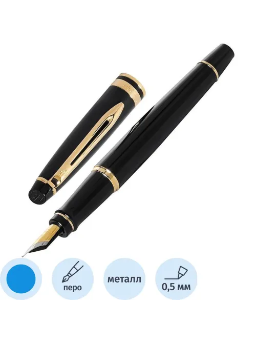 Ручка перьевая WATERMAN EXPERT S0951640 черн. корп, син чернила 0,5мм Франц