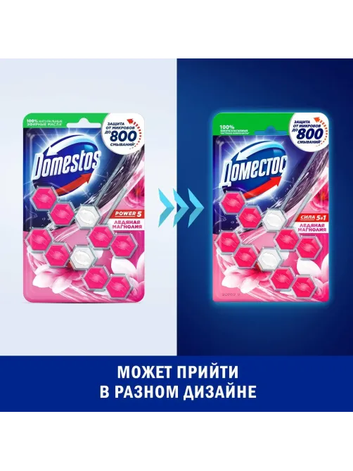 Блок для унитаза ДОМЕСТОС ПАУЕР 5 ДУО Ледяная магнолия 2х55гр на блистере