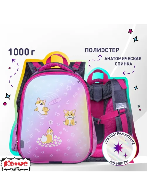 Ранец Комус Класс Basic Corgi time, 2 отд., эргоном. спинка