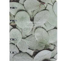Тетрадь общая, BS, А5, 120л., клетка, кольца. Botanica, эвкалипт N4234