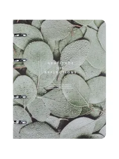 Тетрадь общая, BS, А5, 120л., клетка, кольца. Botanica, эвкалипт N4234