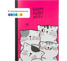 Тетрадь общая So Many Cats 60л, B5, блок бел, клетка,в ассортимент
