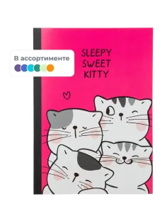 Тетрадь общая So Many Cats 60л, B5, блок бел, клетка,в ассортимент