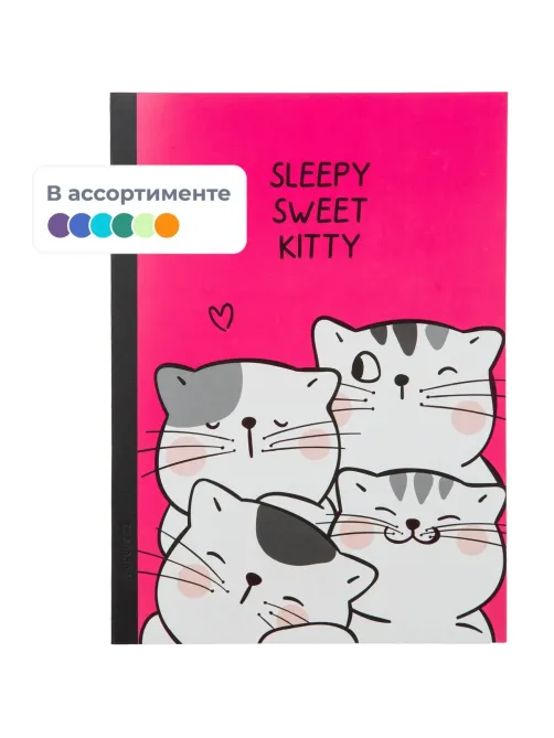 Тетрадь общая So Many Cats 60л, B5, блок бел, клетка,в ассортимент