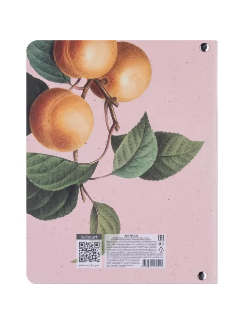 Тетрадь общая, BS, А5, 120л., клетка, кольца, Flora, персики N4236