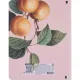 Тетрадь общая, BS, А5, 120л., клетка, кольца, Flora, персики N4236
