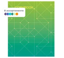 Тетрадь общая А5,48л,кл,скоб,блок-офсет-2 Attache Alpha син/зелен вассорт