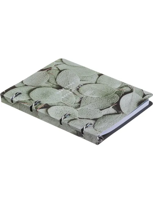 Тетрадь общая, BS, А5, 120л., клетка, кольца. Botanica, эвкалипт N4234