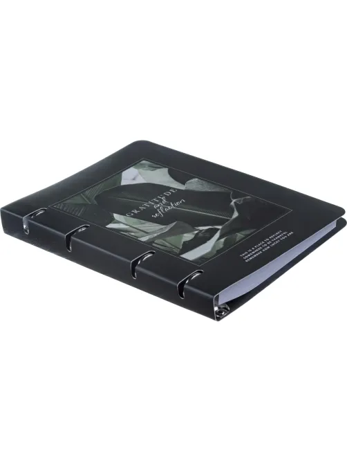 Тетрадь общая, BS, А5, 120л., клетка, кольца, Botanica, банан рамка N4763