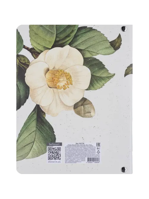 Тетрадь общая, BS, А5, 120л., клетка, кольца, Flora, камелия N4758