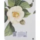 Тетрадь общая, BS, А5, 120л., клетка, кольца, Flora, камелия N4758
